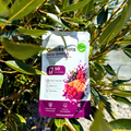 Acai_Shield_Doybag_in_Tree